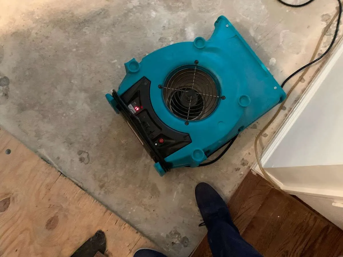 Air mover drying subfloor during Leak Detection & Repair in Irondale